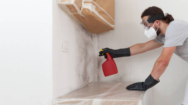 Professional Mold Remediation technician working in East Moriches, NY